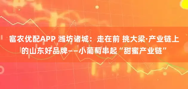 富农优配APP 潍坊诸城：走在前 挑大梁·产业链上的山东好品牌——小葡萄串起“甜蜜产业链”